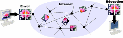 Schéma du cheminement de l'information
